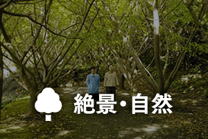 絶景・自然
