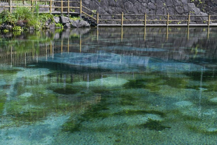 おすすめ体験スポット「霧島アート牧場」