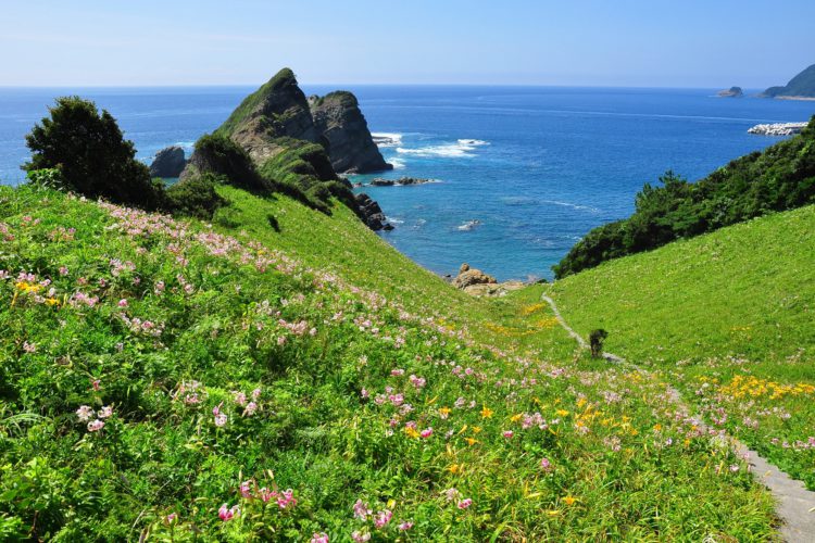 鳥ノ巣山展望所