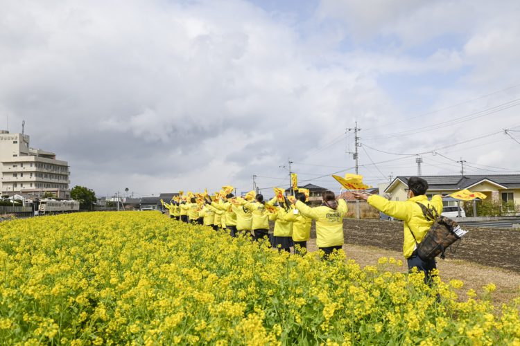 指宿たまて箱への旗振り