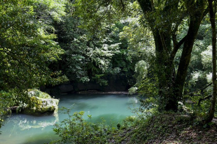 香梅ヶ渕