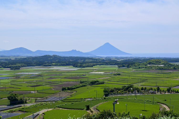 茶ばっけん丘