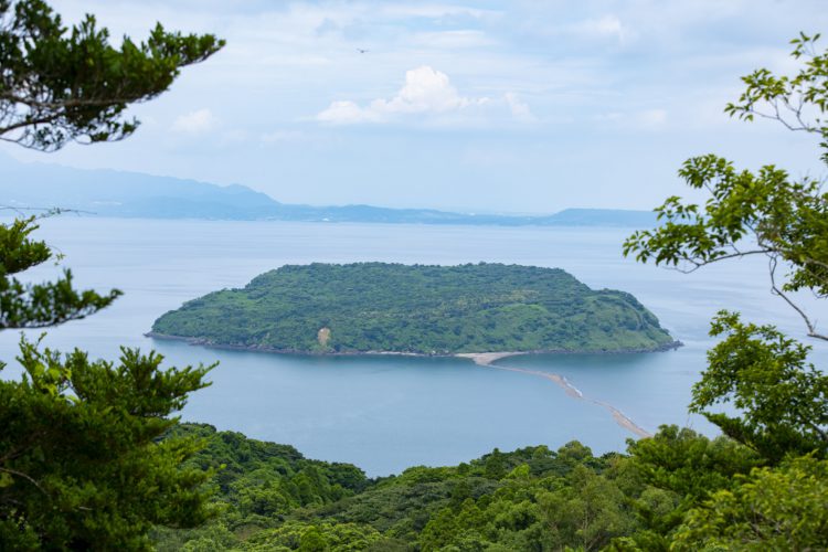 知林ヶ島