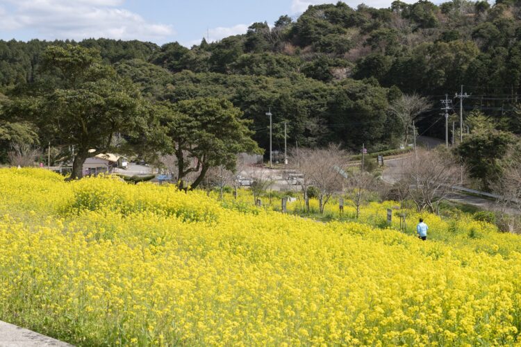 柳山アグリランド