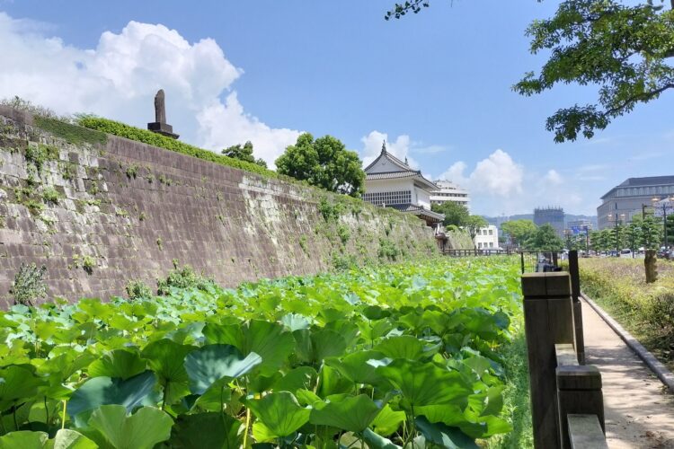 おすすめ体験スポット「人力俥 揚羽家」
