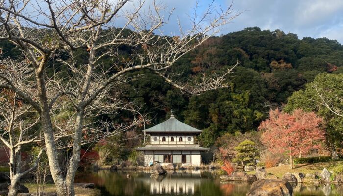 サクラノヤカタ <br>~新年は和のテイストを楽しもう~