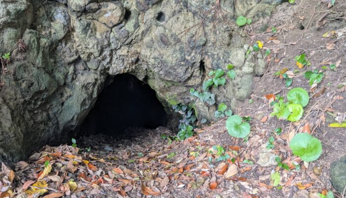 佐潟の洞窟 <br>~阿久根から甑島まで、つながってる!?~