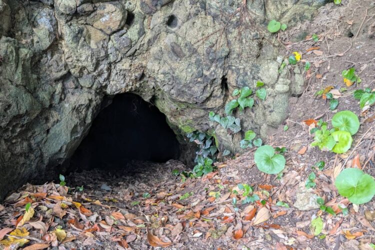 佐潟の洞窟 <br>～阿久根から甑島まで、つながってる！？～