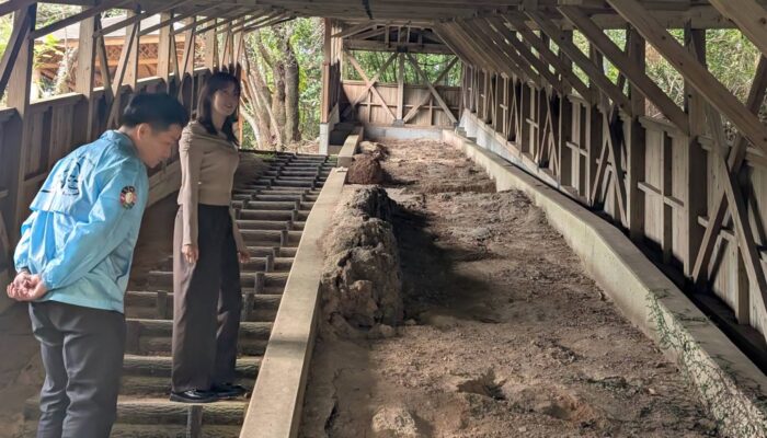 薩摩焼の里 美山散策 <br>~クラフトマンの里をゆっくり巡ろう~