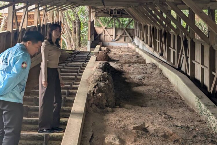 薩摩焼の里 美山散策 <br>～クラフトマンの里をゆっくり巡ろう～