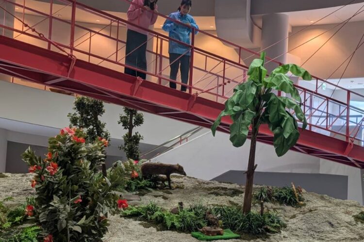 ユイの館 <br>～徳之島をまるごと学べる！～