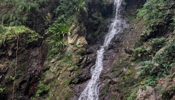 マチャラの滝 <br>~散策しやすい世界自然遺産エリア〜